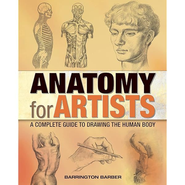 Anatomy for Artists: Drawing Form & Pose: The ultimate guide to